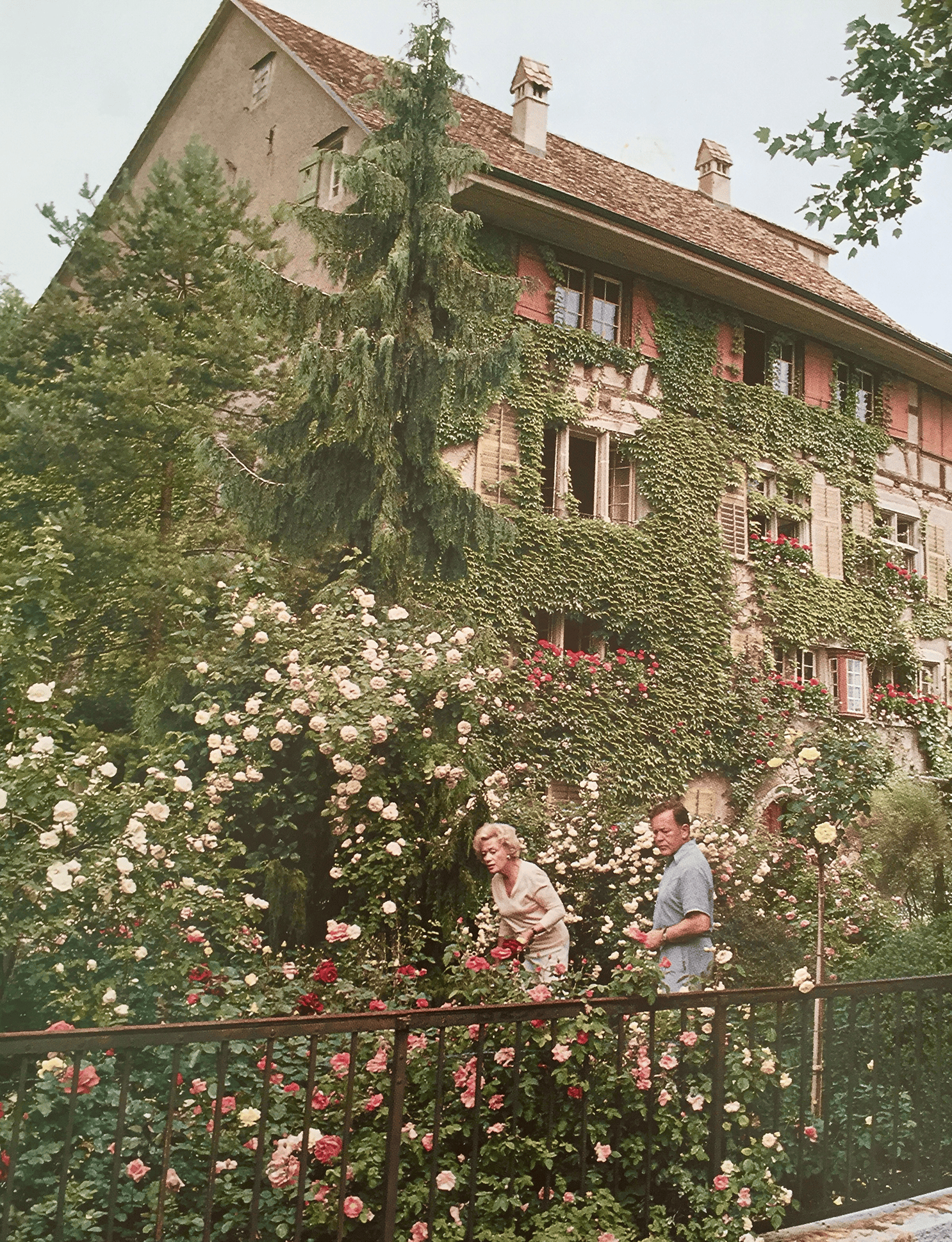 Stiftung Lotte und Willi Günthart-Maag