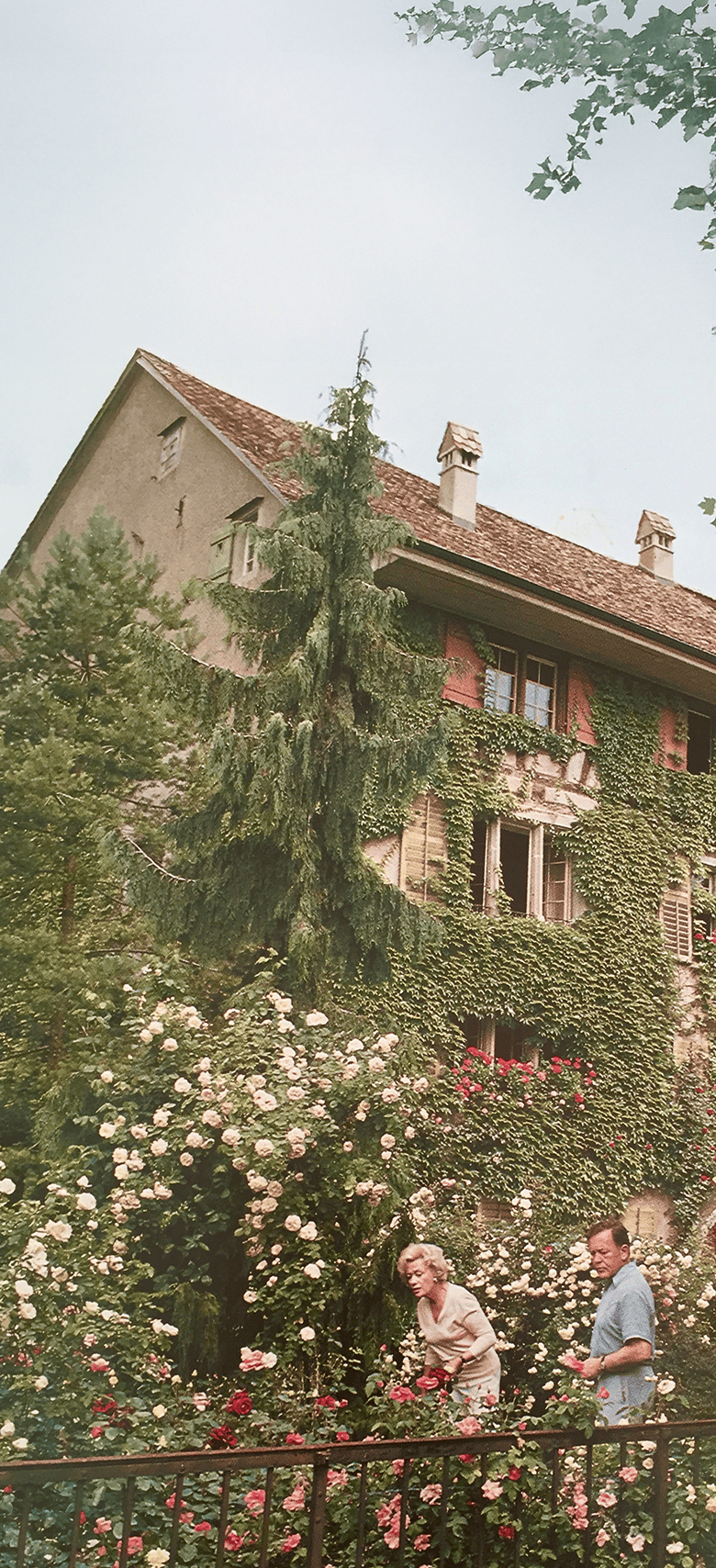 Stiftung Lotte und Willi Günthart-Maag